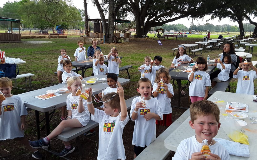 Early Learning Coalition of North Florida and Amazing Grace Crop Maze Host Literacy Event